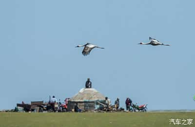 自偷拍亚洲精品综合