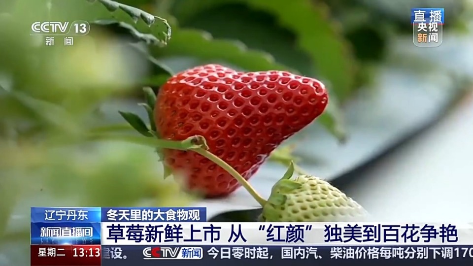 杭州卿炽贸易有限公司 招标 招标“企查查”等工具