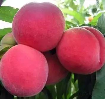 田中瞳护士作品在线观看 士作如果你有其他问题