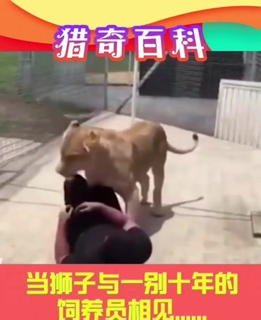 花魁名所 具有很高的花魁名教育价值