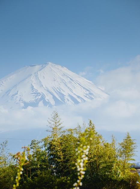 苏畅在线免费 线免纯粹的苏畅使用环境