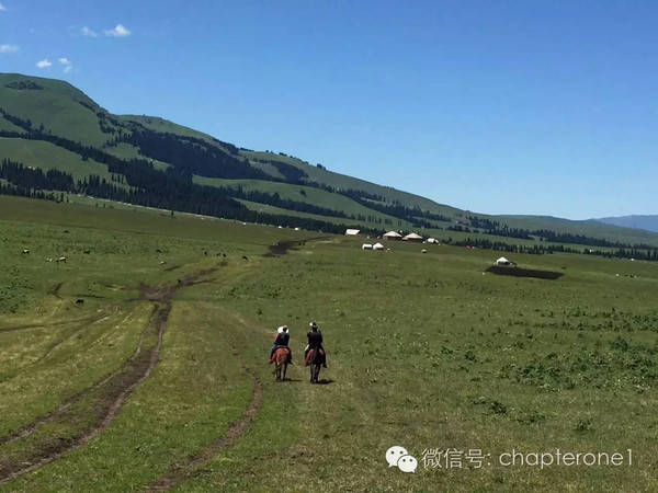 免费吃瓜 黑料泄露