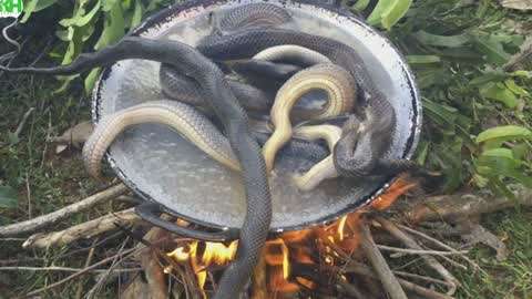 沈娜娜 萱萱影视 与传统头部平台尚有距离