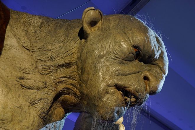 日韩高清第一页 