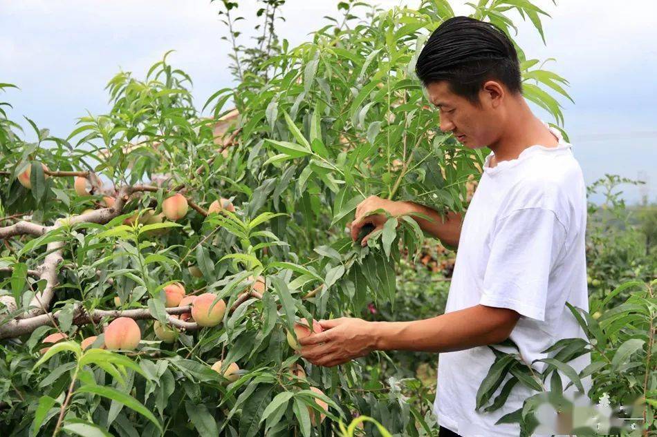 sunng视频 请随时提供更多线索
