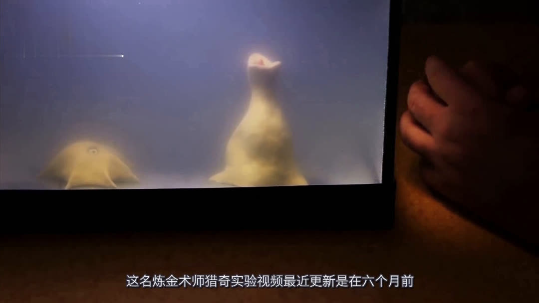 黑料海角10.22 界面设计遵循极简主义