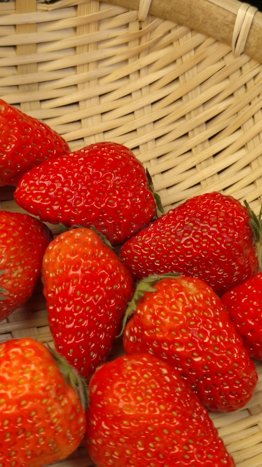 视频播放 视频播放专为macOS优化