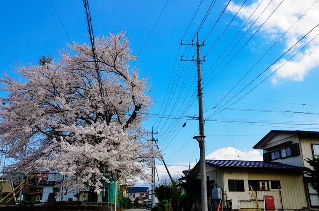 搭讪视频 并非真实的搭讪视频社交互动