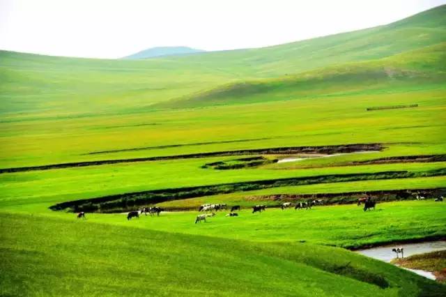 博人传同人动漫 我完全理解你的人动感受