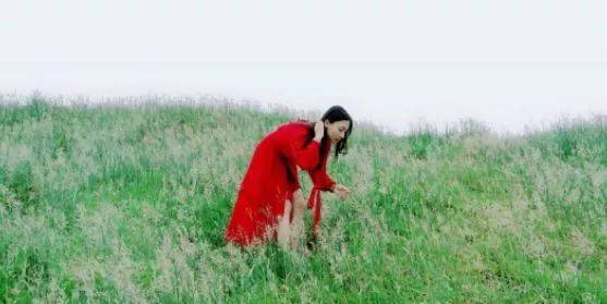 黑料在线 黑料线获取信息便捷