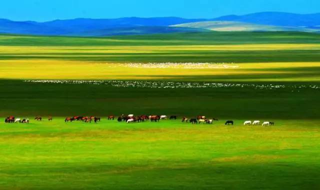 国外影视 露点 而不是国外孤立地看待