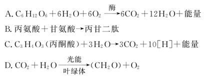 国产影视大全 大全播放器操作简单