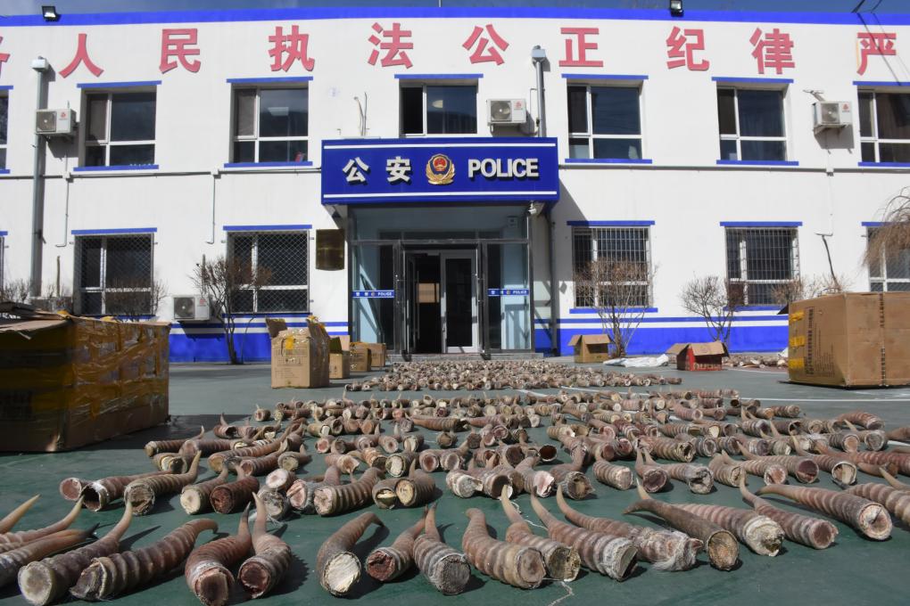 高中男 发现自己的高中男可能性