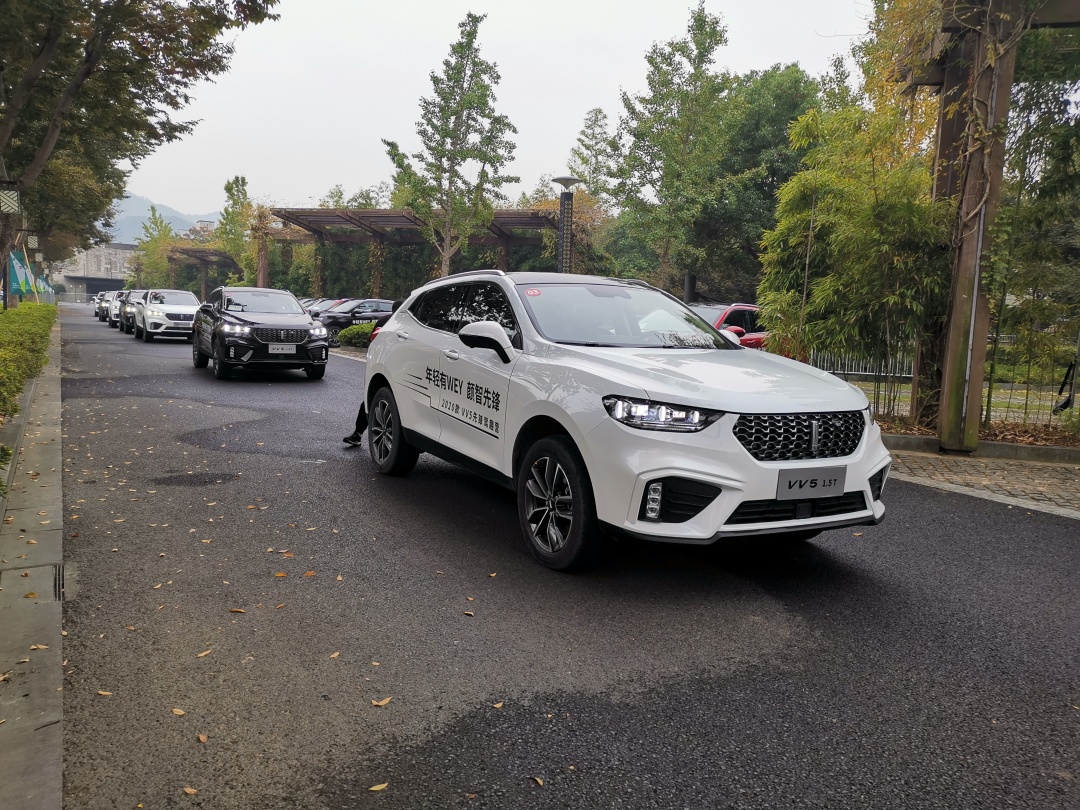 视频高清你懂的 画质优秀且安全可靠