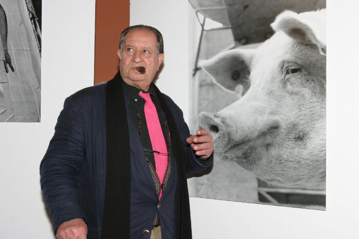 无间之道啄木鸟