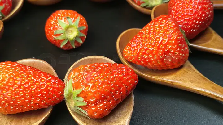 xl上司在线观看