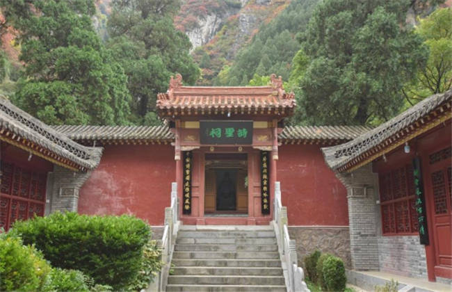 小马拉大车同人动漫