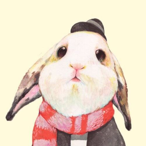 GTV全球最好g平台入口在哪里