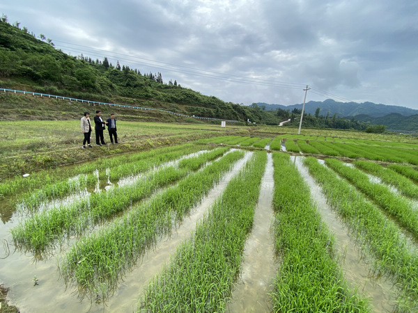 google aih动画 B站和YouTube上的AI动画教程